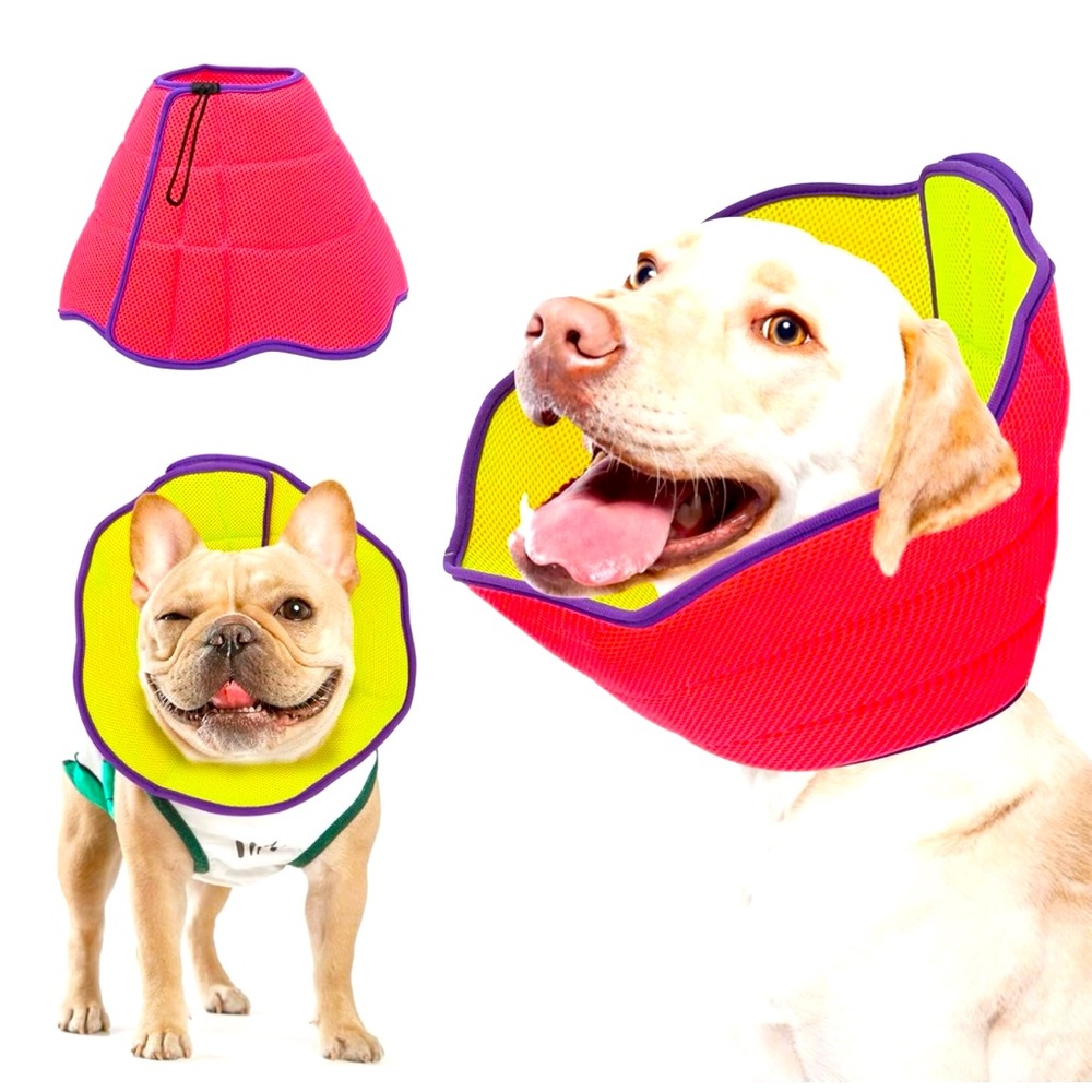 Dog cone collar. New!